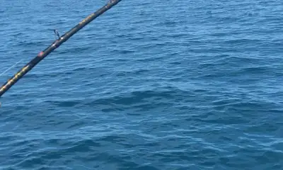 Belleair Bluffs Report Video 0