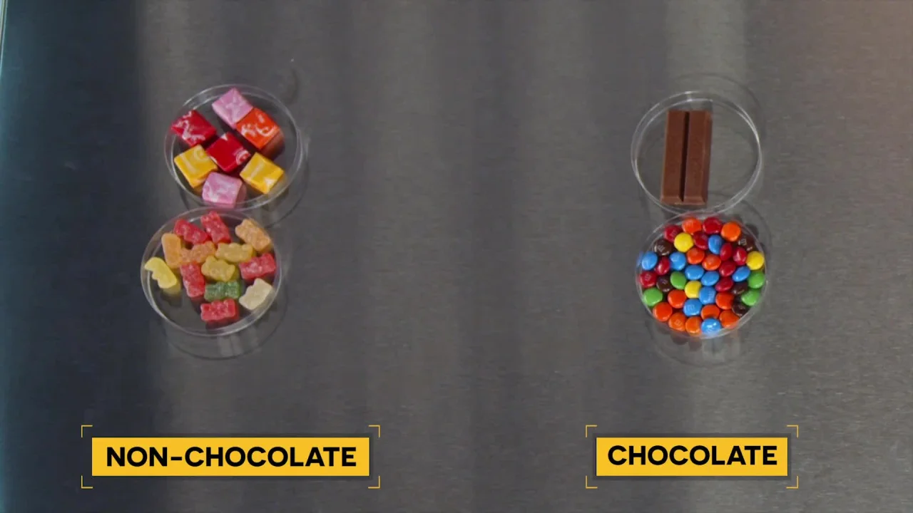 Classification Activity for Kids - Classify Candy DIY