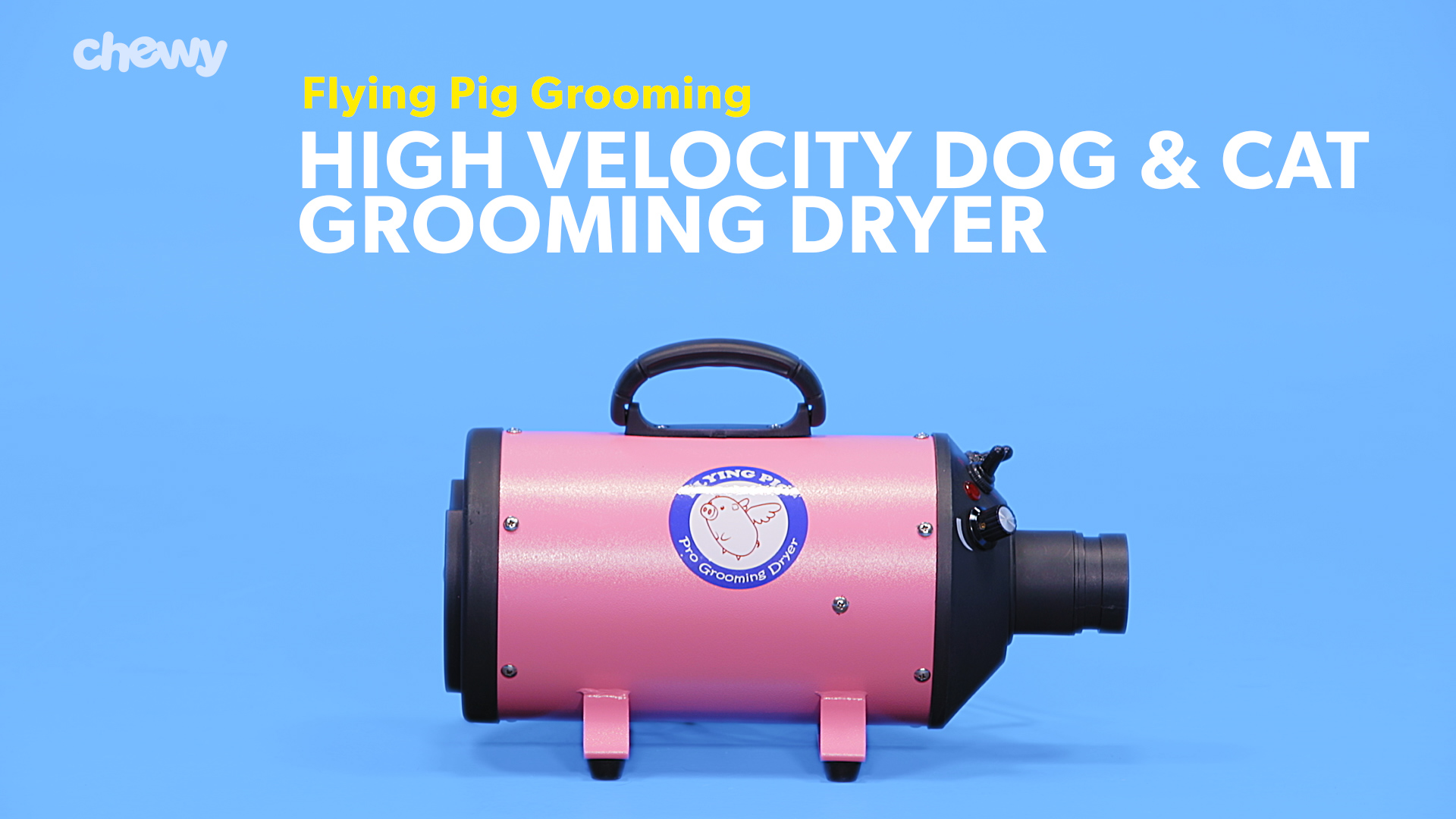 Flying pig pet store dryer