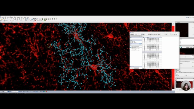 Tutorial: editing traces in arivis Pro