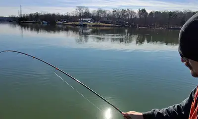 Tega Cay Report Video 4