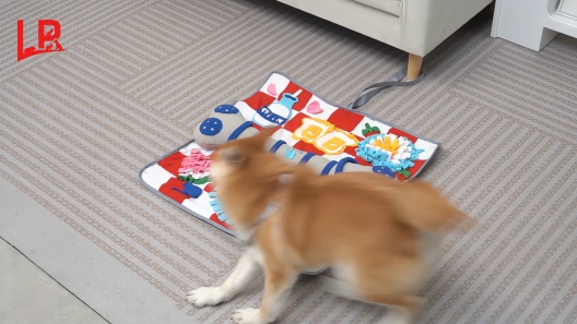 LuftPets Squeaky Bone Snuffle Mat Dog Toy, Large
