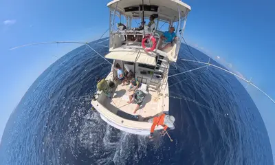 Cancún Report Video 1
