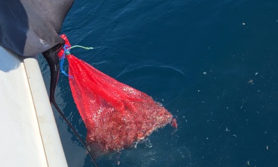 5 hour trip with captain Arthur Venancio and his crew