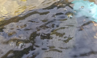 July fishing trip