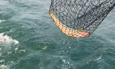 Erie Report Video 0