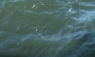 Mount Pleasant Report Video 0