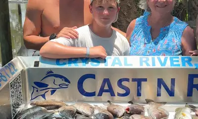 Crystal River Report Video 1