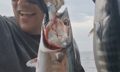 Dana Point Report Video 0