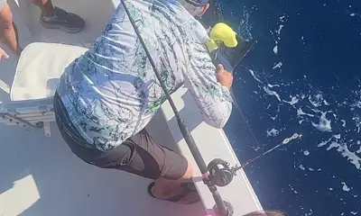 Key West Report Video 0