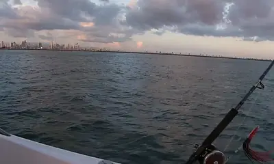 Panama City Report Video 0