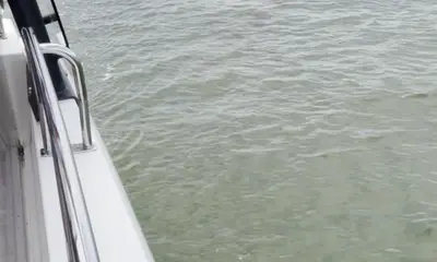 Captain Greg was amazing! Very hospitable I would recommend this trip 100 times over