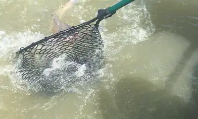 Port Clinton Report Video 0