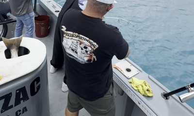 Los Angeles Report Video 1