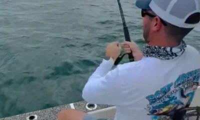 Tampa Report Video 0