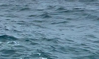 Haleiwa Report Video 0