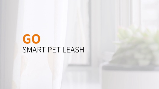 Play Video: Learn More About PETKIT From Our Team of Experts