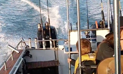 Airlie Beach Report Video 0