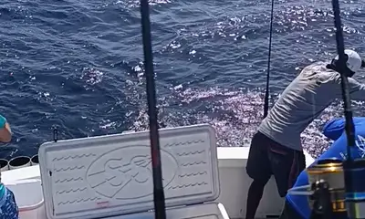 Panama City Report Video 1