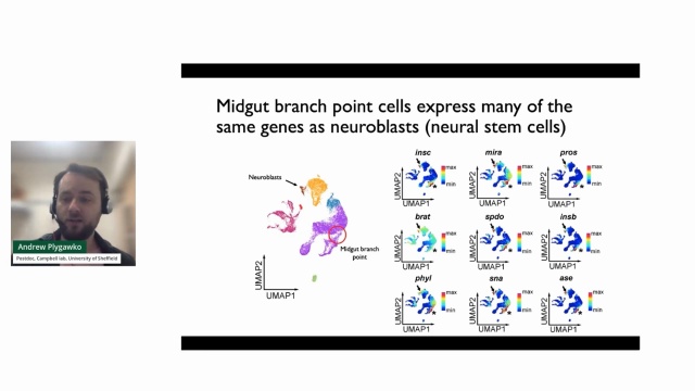 Keeping Pace with the Pulse of Life