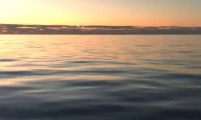 Carolina Beach Bericht Video 1