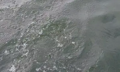 San Antonio Report Video 0
