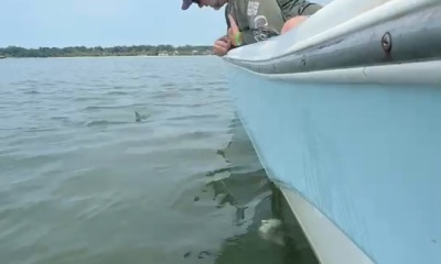 10ft Monster!!!
