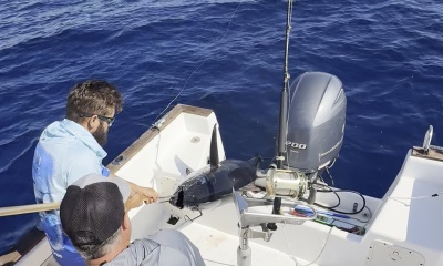 Tuna and more!!