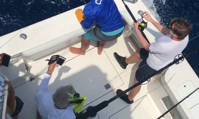 Stuart Report Video 0
