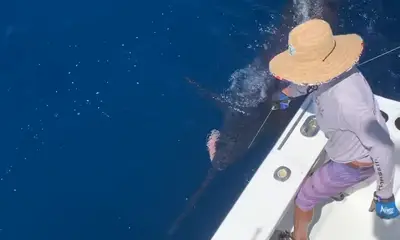Quepos Report Video 0