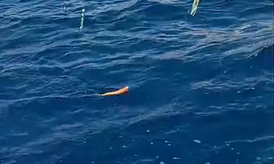 Playa Flamingo Video Report 2