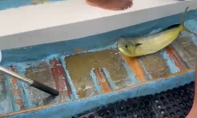 Great Fishing!