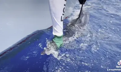 Placencia Report Video 2