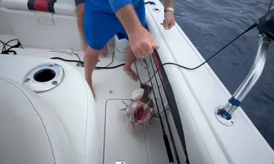 Placencia Report Video 0
