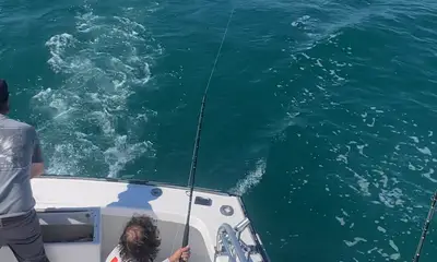 Rapport vidéo Nags Head 0