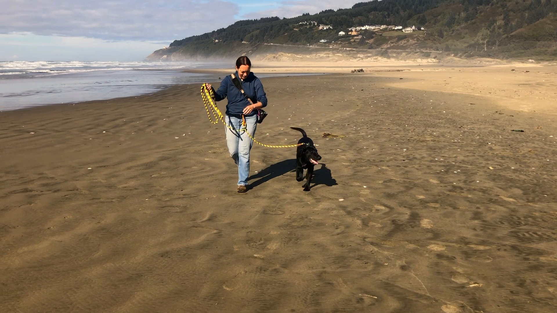 innovative dog leash