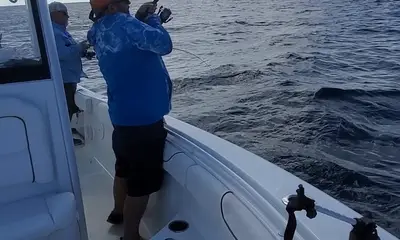 North Myrtle Beach Report Video 0