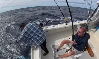 Bermuda Report Video 1