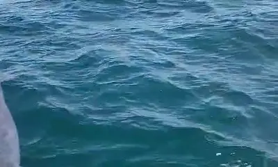 Great guys great time