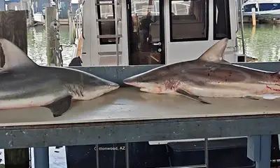 Great time fishing!!!
