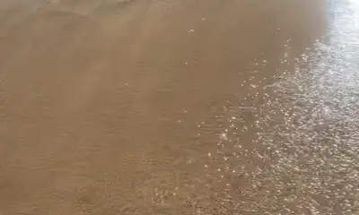 Perfect boat to paradise!