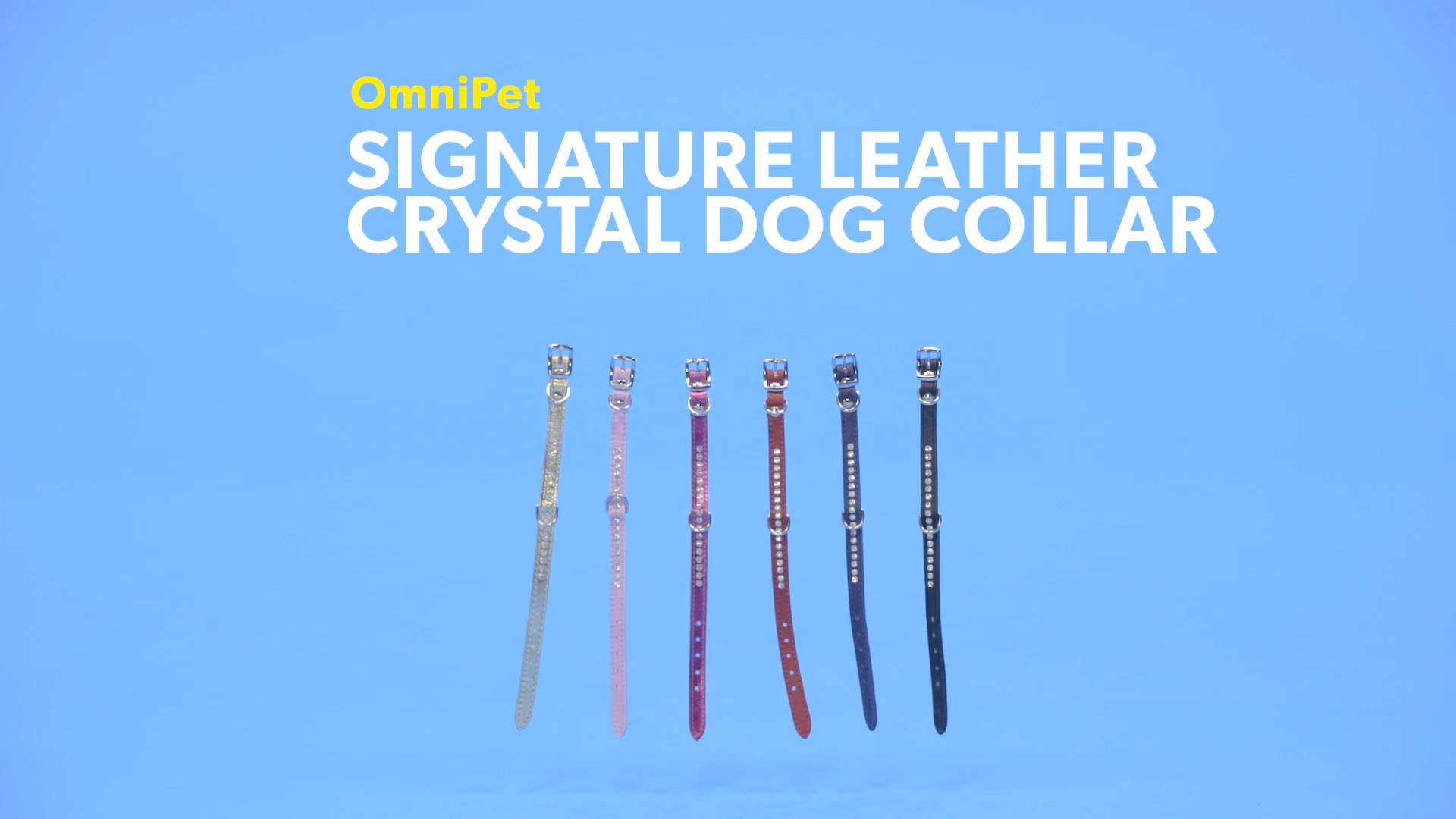 Omnipet signature leather sale crystal dog collar