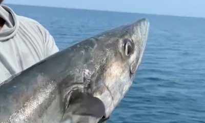 New Smyrna Beach Report Video 0