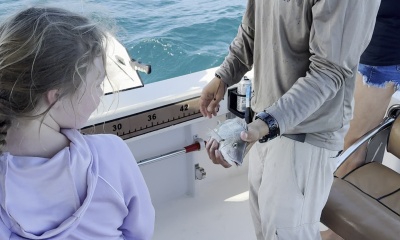 Caught a Cobia!!