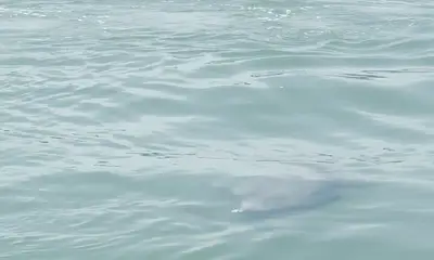 July fishing trip