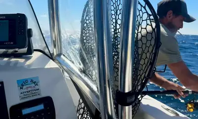 Gulf Breeze Report Video 3