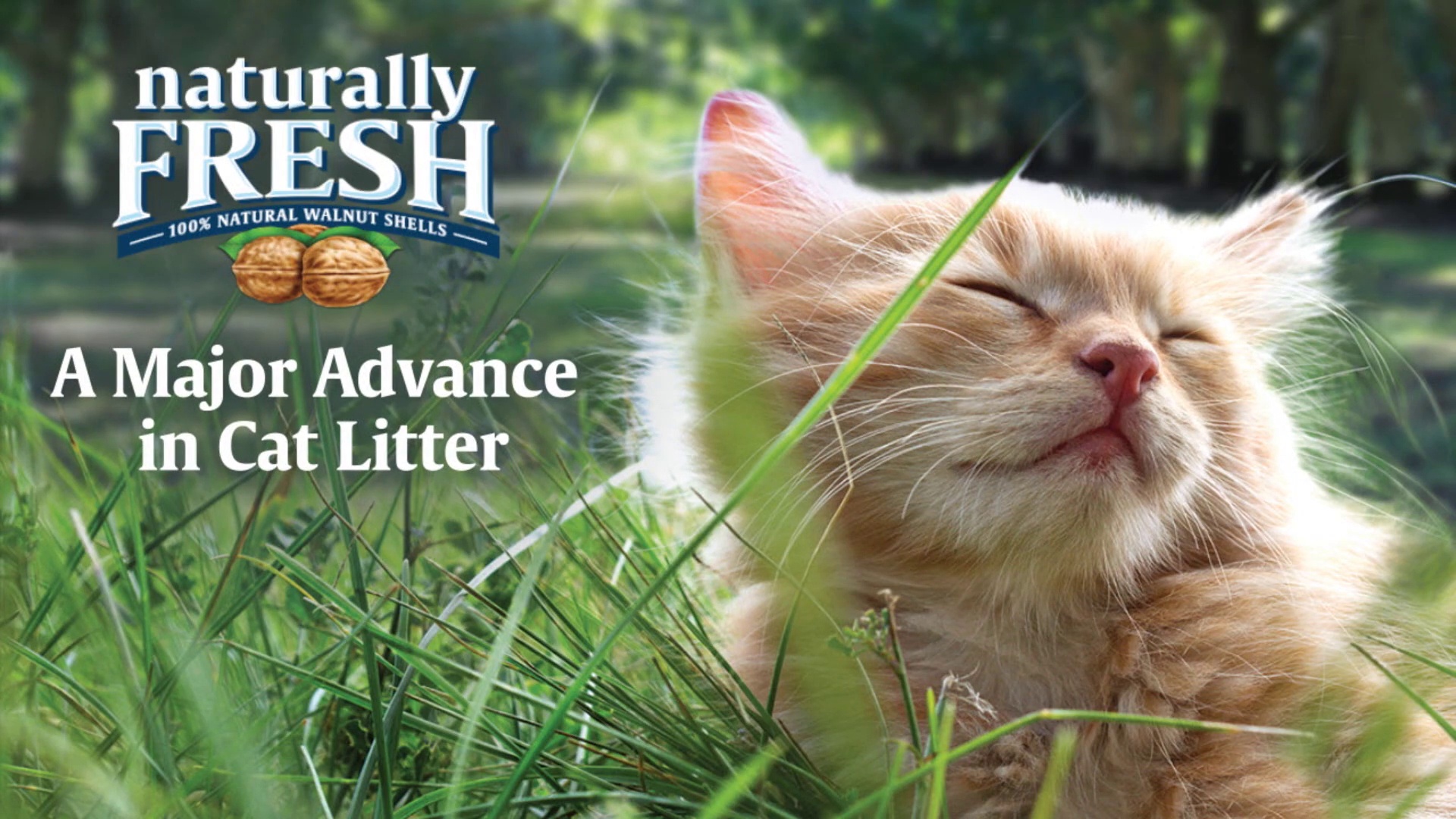 walnut clumping cat litter