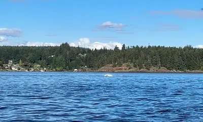 Canada Report Video 2