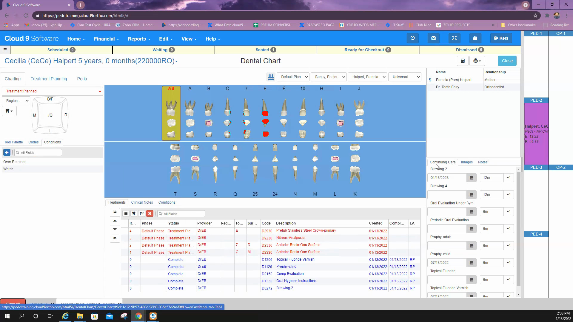 treatments-dental-chart-tour-peds-planet-dds