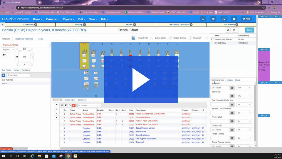 Treatments Dental Chart Tour PEDS Planet DDS treatments-dental-chart-tour-peds-planet-dds